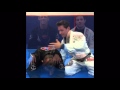 Brabo choke with your own lapel from turtle position  bjj technique greg melita