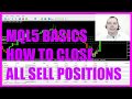 MQL5 TUTORIAL BASICS - 31 HOW TO CLOSE ALL SELL POSITIONS ...
