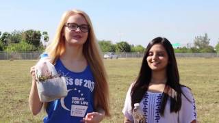 DECA Idea Challenge 2016 MSD
