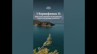 1 Коринфянам 15:15-19 современный перевод Библии #Shorts