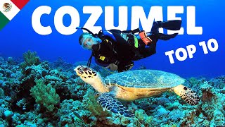 Diving Paradise in Mexico | Best things to do in Cozumel