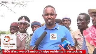 SEE HOW 150 RESIDENTS IN WASO WARD, SAMBURU COUNTY RECEIVED GOATS FROM THEIR MCA