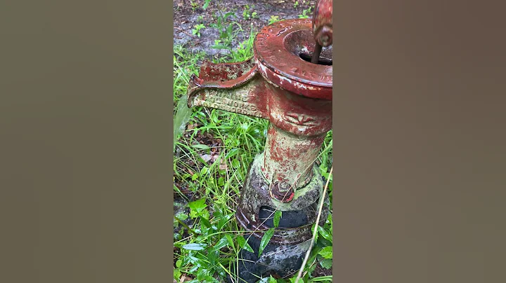 Hosea Gibbs Hand Pump Well