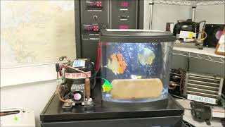 Frigoboat Keel Cooler demonstration