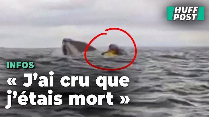 Une baleine avale un kayakiste avant de le recracher