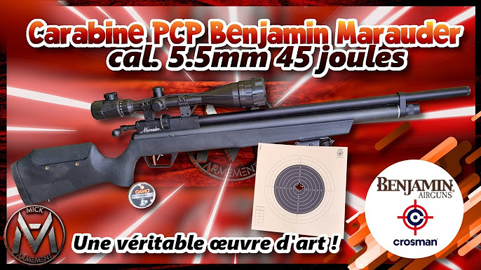 carabine a plomb, pistolet a plomb, airsof, airguns, carabine pcp, tir de  loisir, tir sportif 