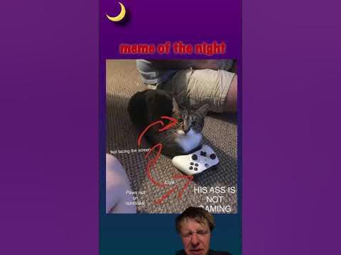 Cat fakes gaming - YouTube