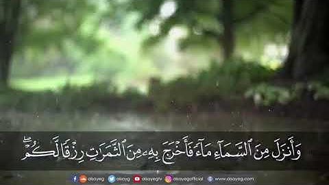 الله الذي خلق السماوات والأرض (ما تيسر من القرآن الكريم) | بصوت الشيخ : توفيق الصايغ .