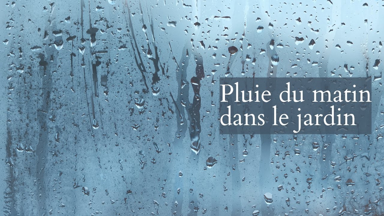 Bruit de pluie pour s'endormir - Beau son de pluie ft. son de pluie pour  bébé/Bruit de pluie doux MP3 Download & Lyrics