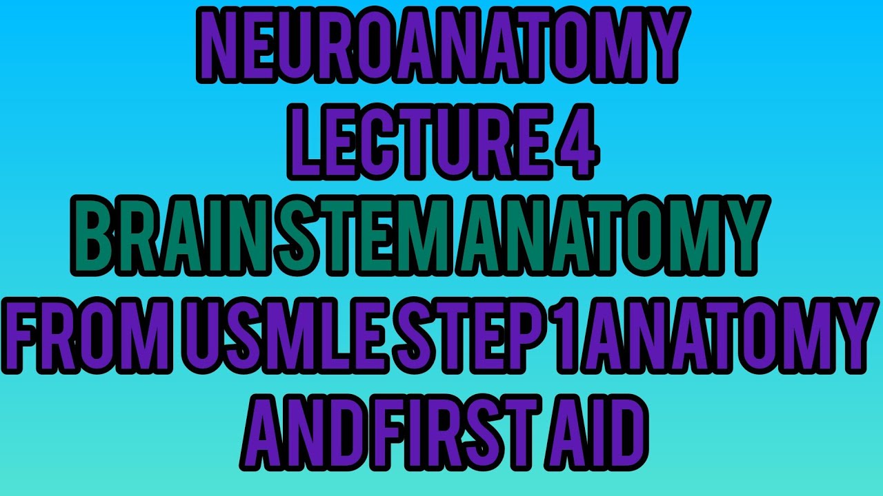 Neuroanatomy (Brain Stem)Anatomy Lecture 4 For Fcps Part 1 - YouTube