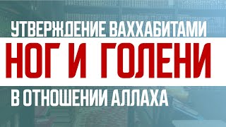 Разоблачение заблудших убеждений 7   утверждение ваххабитами ног и голени в отношении Аллаха