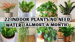 22 Indoor Plants that don