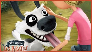Squawk Le Roi Des Animaux Nos Voisins Les Pirates Dessins Animés