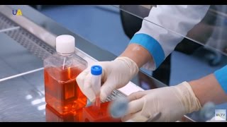 UA|TV: Ukrainian medical technology saves from amputations (VIDEO)