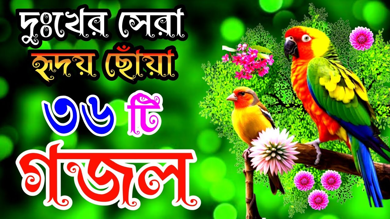 দুঃখের সেরা হৃদয় ছোঁয়া ৩৬টি গজল |বাংলা বাছাইকৃত গজল |Selected Gajal |Bangla Gojol |New Best Gazal 