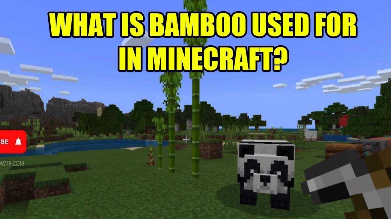 What Is Bamboo Used for in Minecraft? YouTube