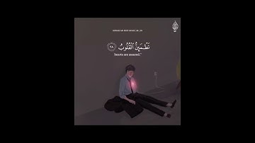 أجمل تلاوة للقارئ إسلام صبحي ✨ألا بذكر الله تطمئن القلوب ♥️