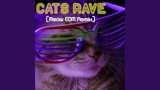 Cats Rave (Meow EDM Remix)