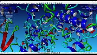YASARA: Receptor-Ligand Global Docking|Complete tutorial: YASARA Molecular Docking & binding Studies