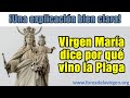 La Virgen María dice por qué vino la Plaga ¡Una explicación bien clara!