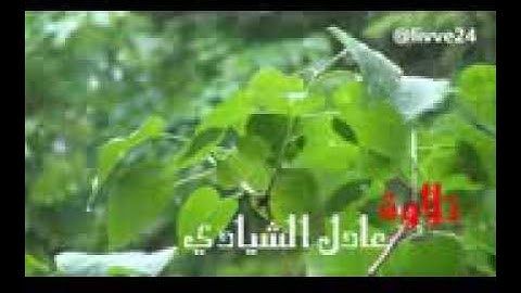 تلاوات خاشعة