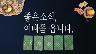 [타로카드] 좋은소식. 이때쯤 옵니다.