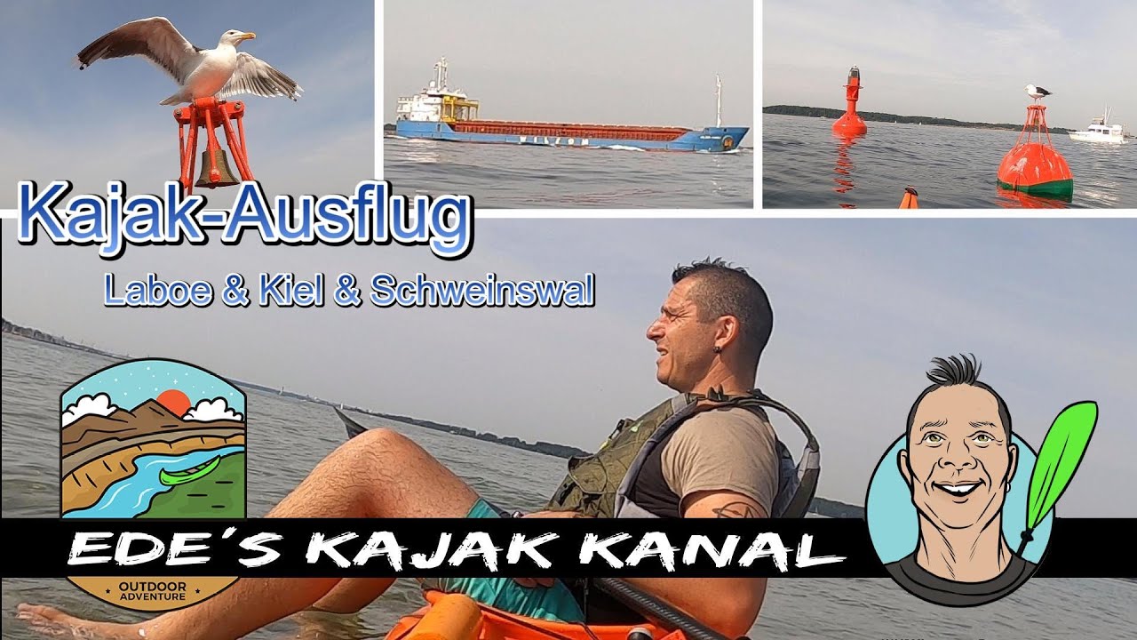Kajak-Ausflug Laboe  Kiel Schweinswal