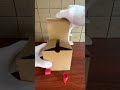Thank you Tiny for your order,This is your packing video.#woodcarving #luckycharm #luckyscoop