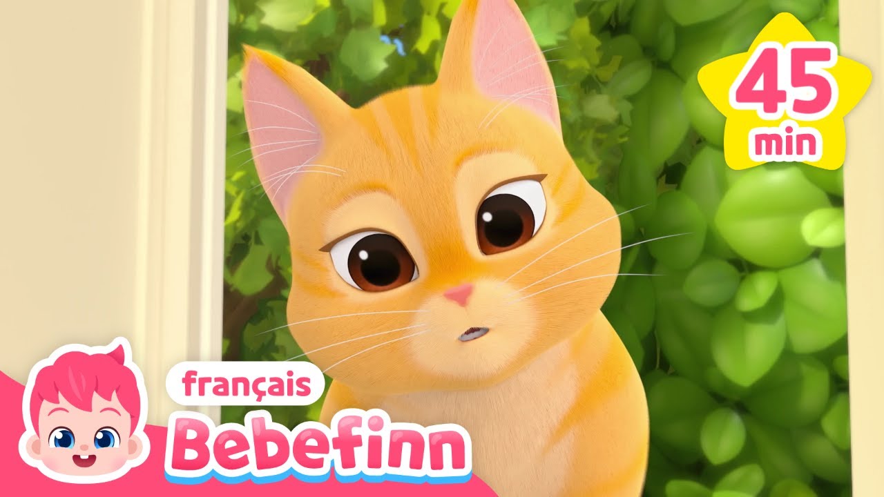 🐱Meow ! Chansons du chat et des premiers mots | +Comptines | Bebefinn👶Chansons pour Enfants