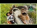 Mass Taming Of Horses: Highland Adventure: Ark Ragnarok Ep7