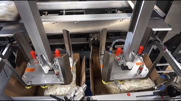TL20 Top Load Case Packer, Bags of IQF Pasta - BW Integrated Systems