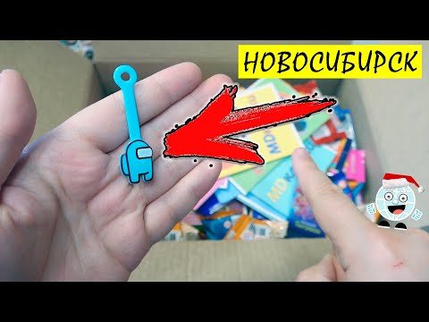 Сюрприз Бокс Among Us в ПОСЫЛКЕ от ПОДПИСЧИКА! MD и Петька НОВОСИБИРСК