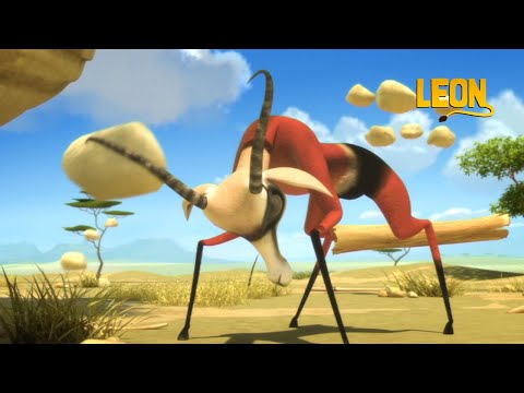 Super Springbok | Leon the Lion | 60' Compilation | Crazy animals