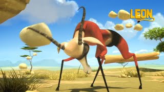 Super Springbok | Leon the Lion | 60' Compilation | Crazy animals