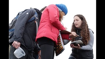 iNaturalist: Tracking for the Future | California Academy of Sciences