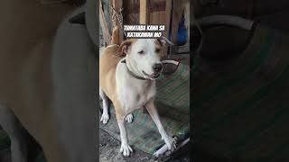 tumataba kana sa katakawan mo #crazy #trend #zoo #brave #vlog