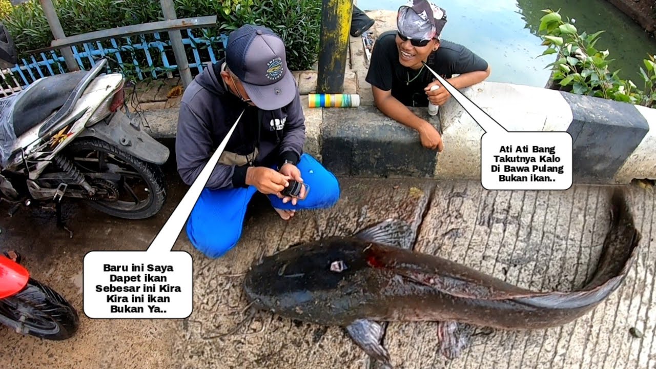 Mengerikan..!! Tidak Pernah Ada Yg Tau Dari Mana Asalnya Tiba