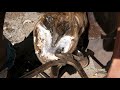 HORSE Hoof TRANSFORMATION // CLEANING Haflinger HORSE Hooves // RELAXING ASMR