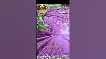 إنّ الذين سبقت لهم منا الحسنى-حسين الياخندي-تجويد عراقي🇮🇶 حزين😢