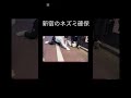 クソ笑ったんだけど#shorts