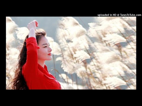 《愛上一個不可能的人》許麗靜