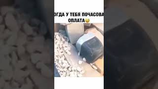 #Лучшаяработа