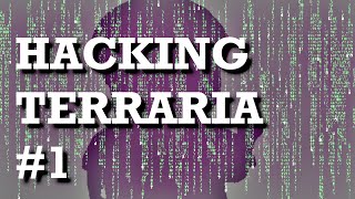 Hacking Terraria in C   | (1/3) |  Self unloading DLL