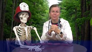 Safety Seconds - Bug Bites with P.A. Erin and Bonesy of Mission Pediatrics®