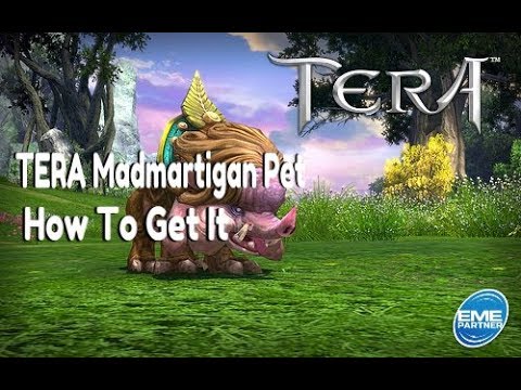 TERA Console | Madmartigan Pet Guide | How To Get It
