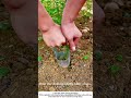 DIY Cylinder Transplanter – Fast Hole Punch &amp; Drop 🧑‍🌾⚡