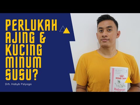 Video: Apakah Susu Buruk Untuk Kucing? - Apakah Susu Buruk Untuk Anjing?