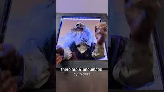 The monster in the window. Animatronics.