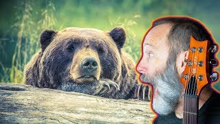 Look for Bears: Improve Ambient Guitar Playing!