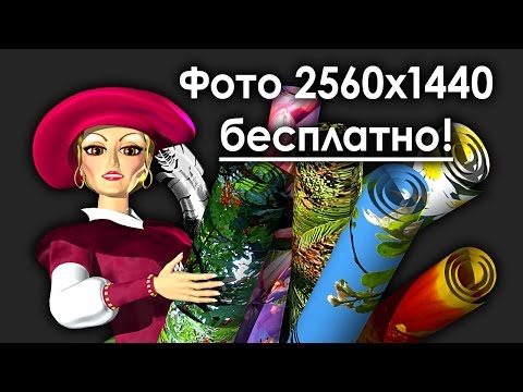 Оформление канала. Фото 2560 х 1440 скачать бесплатно. Фоны для YouTube